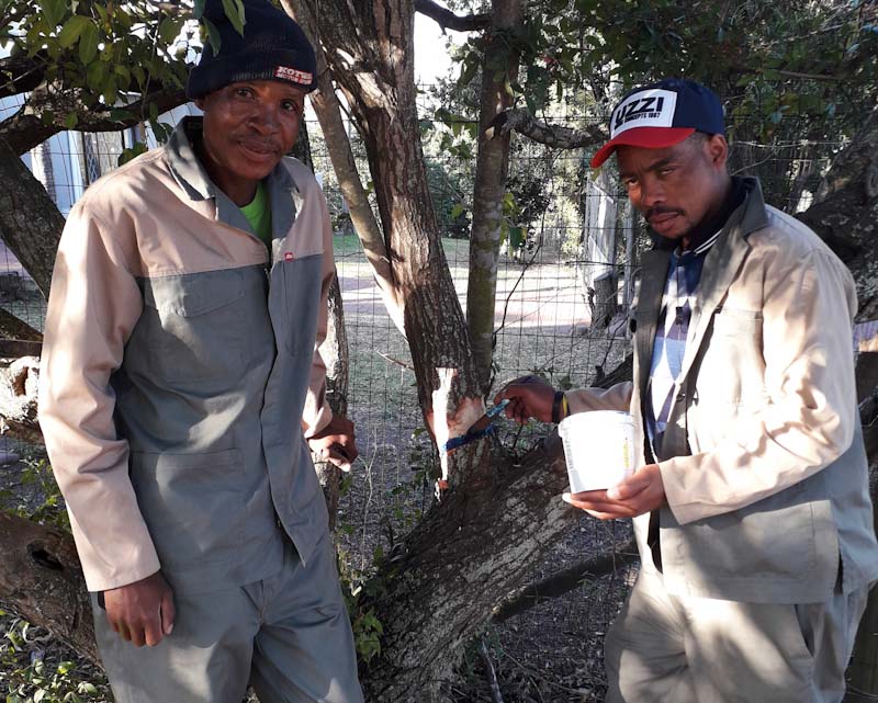 PCO pest control operator training with HLEM photo 2