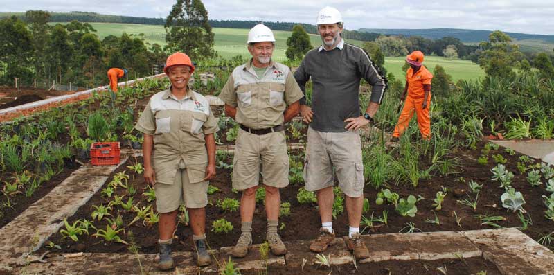 green roof ixopo green roof ixopo