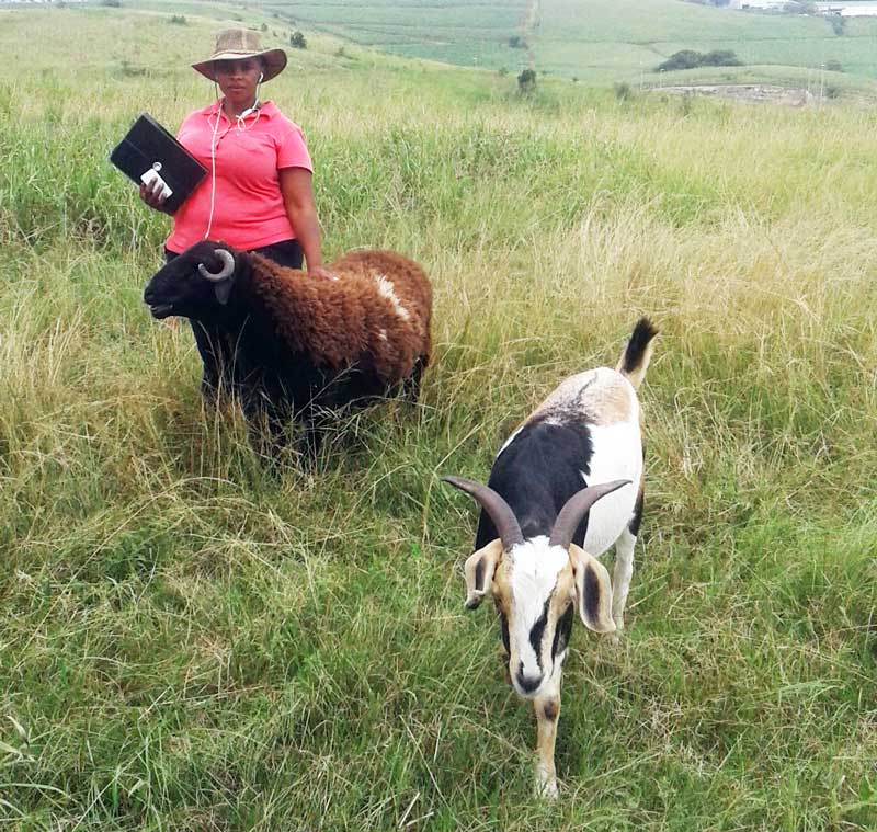 hlem environmental management ksia