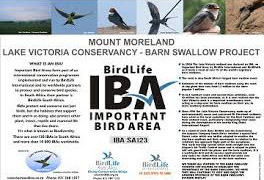 IBA important bird area mount moreland