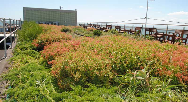 green roof sand pumping station durban green roof sand pumping station durban