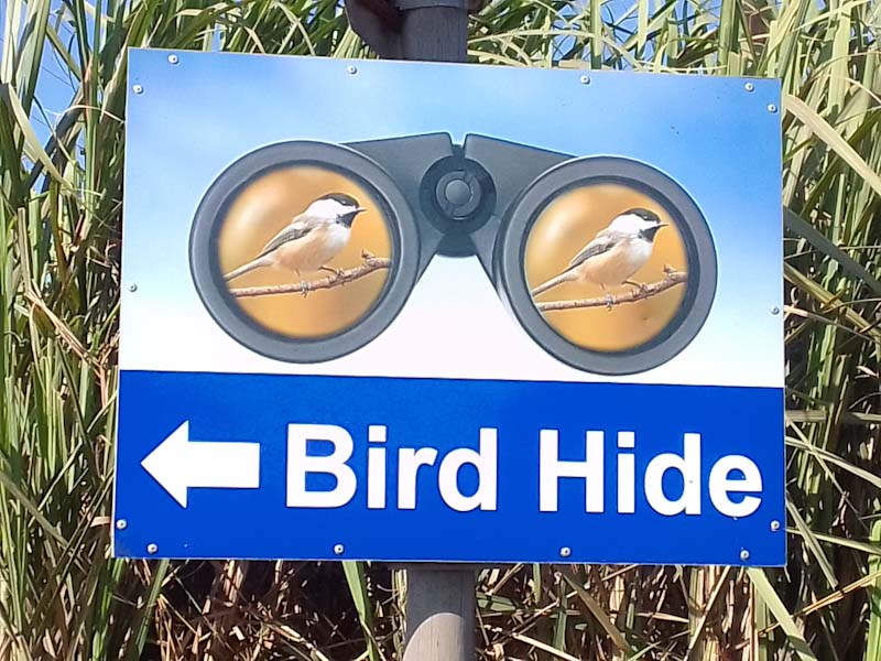 sappi stanger bird hide