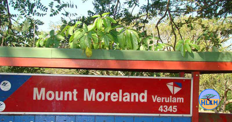 HLEM invasive alien schefflera actinophylla NEMBA Category 1b invasive alien plant