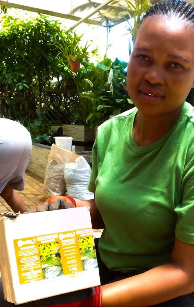 PCO training landscape explaining the precautions and use of fungicides