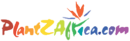 plantz africa